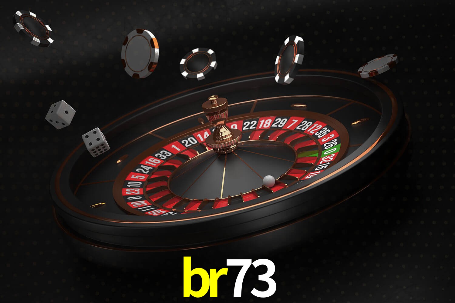 br73