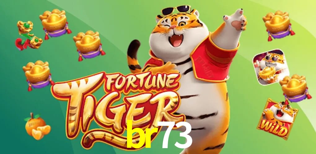 Live Casino br73